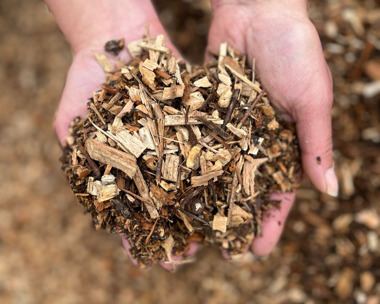 Hackschnitzel aus Mischholz 0-12mm