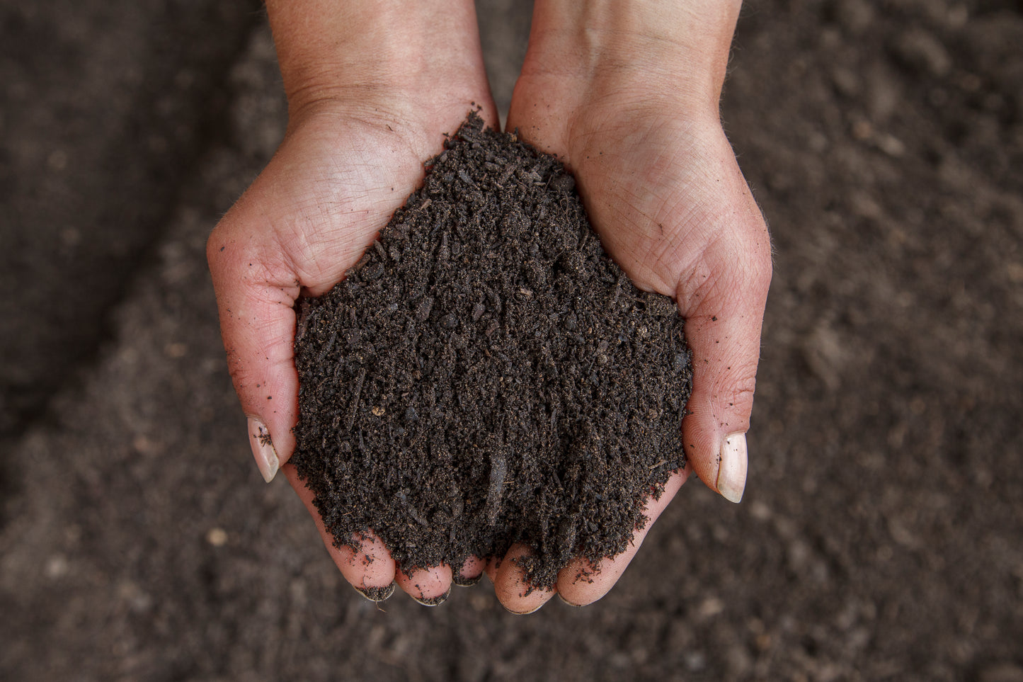 Pflanz- und Hochbeeterde 40L