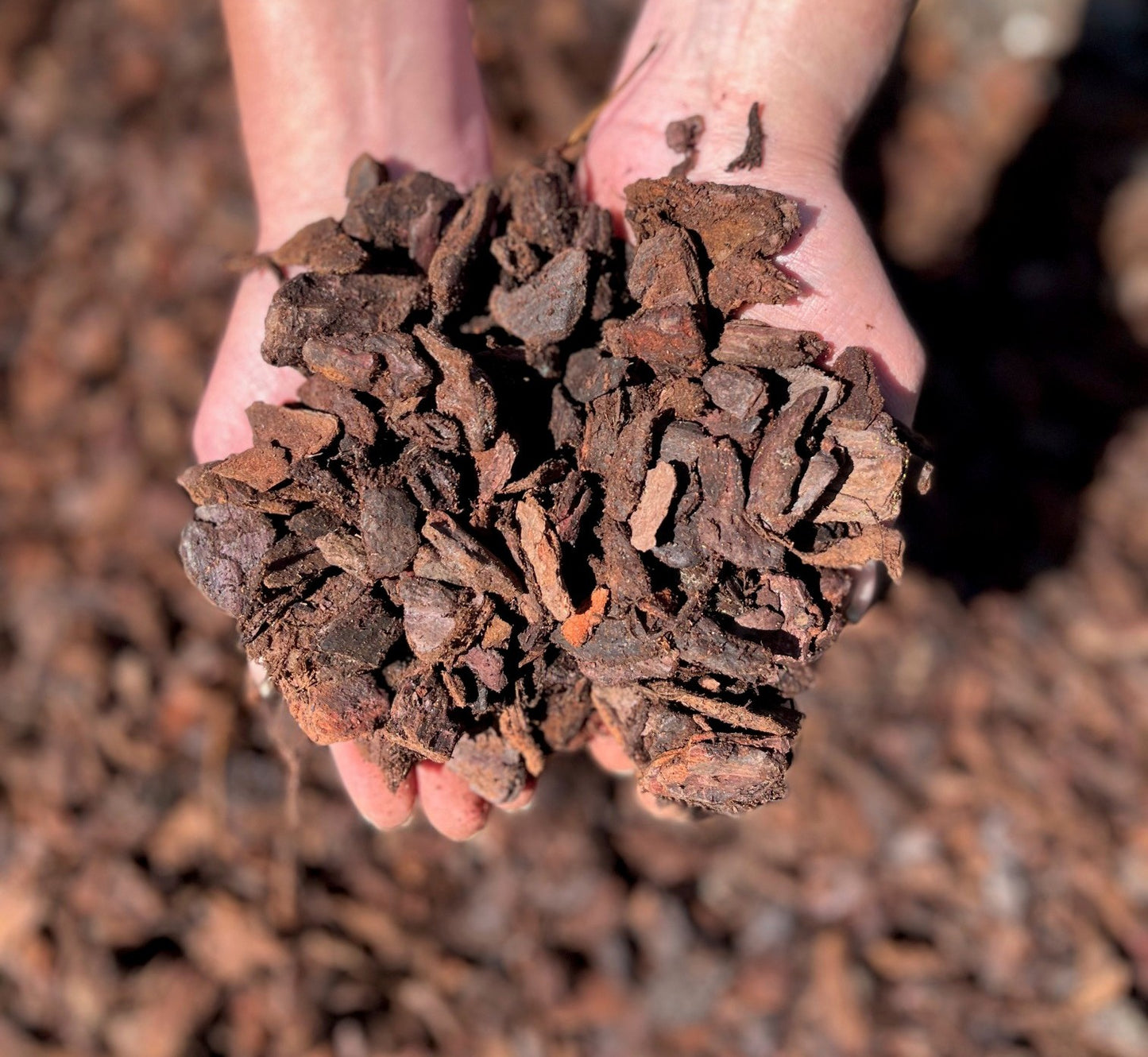 Piniendekorrinde 15-25mm 70L