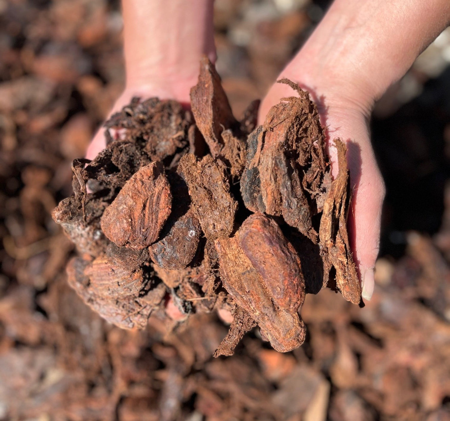 Piniendekorrinde 25-45mm 70L