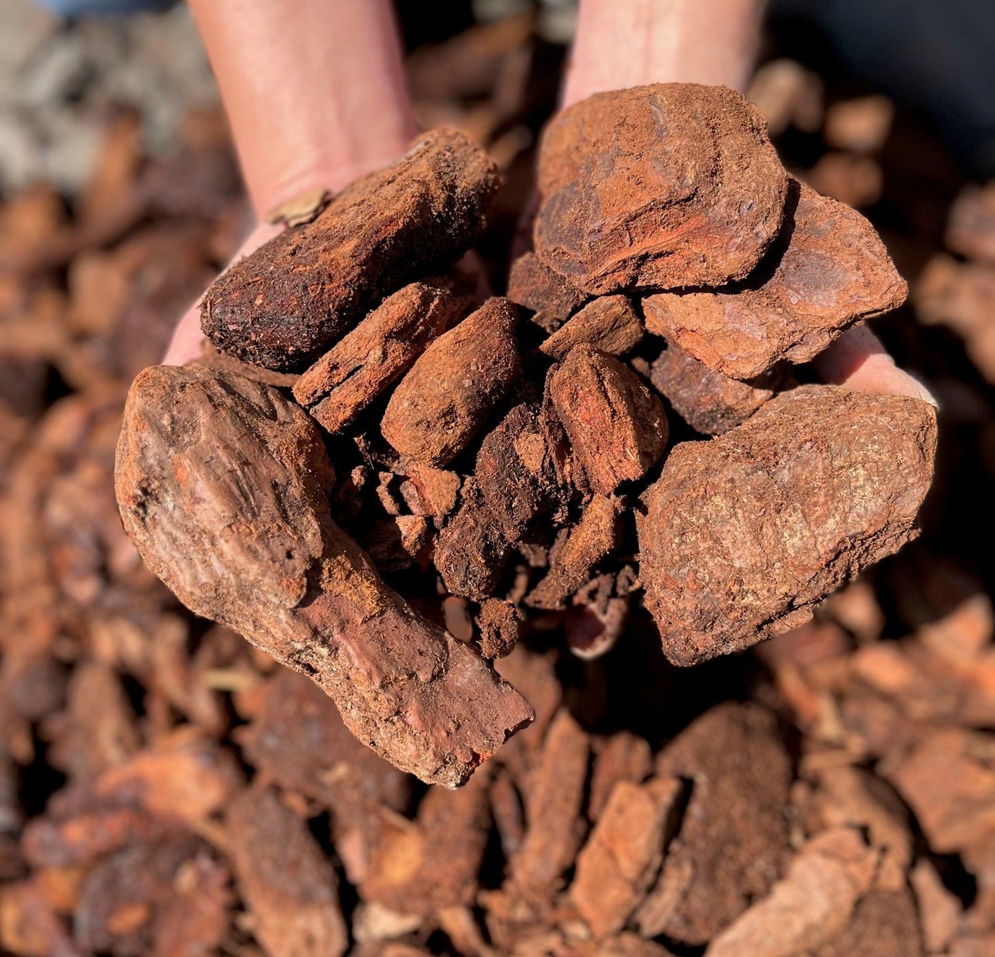 Piniendekorrinde 45-70mm 70L