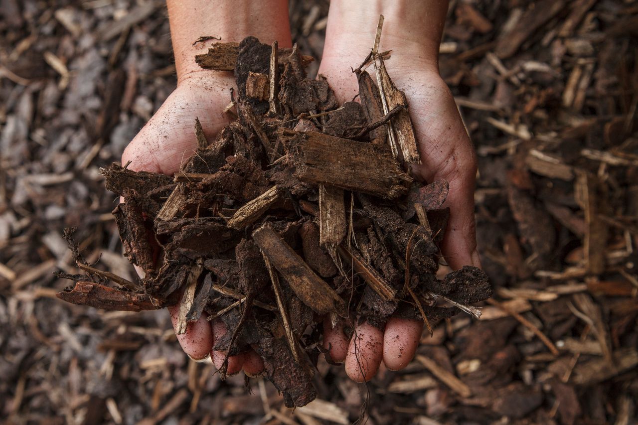 Rindenmulch 50L