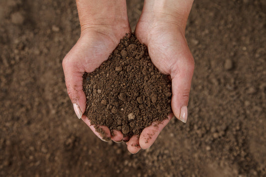 Rasen-Gartensubstrat